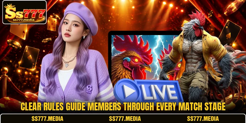 Clear rules guide members through every match stage Clear rules guide members through every match stage