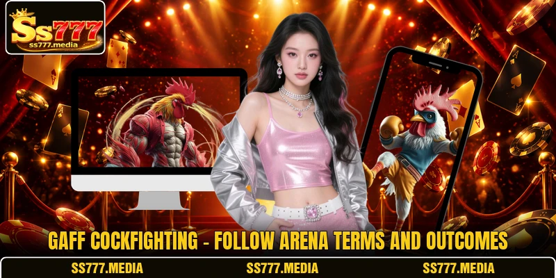 Gaff Cockfighting - Follow Arena Terms And Outcomes