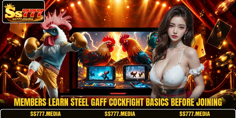 Members learn Steel Gaff Cockfight basics before joining Members learn Steel Gaff Cockfight basics before joining