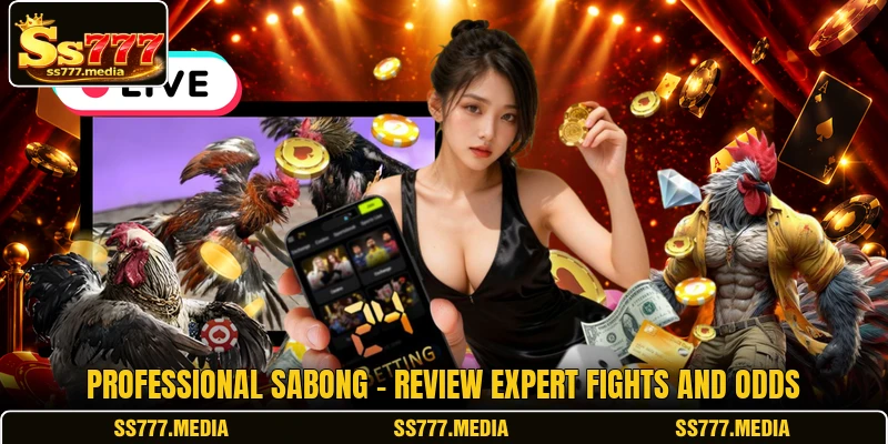 Professional Sabong - Review Expert Fights And Odds